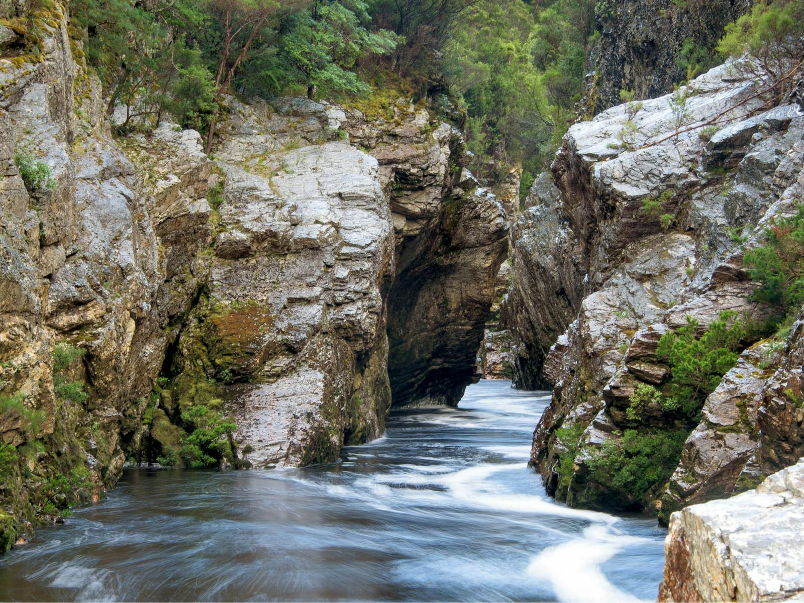 Franklin River Rafting