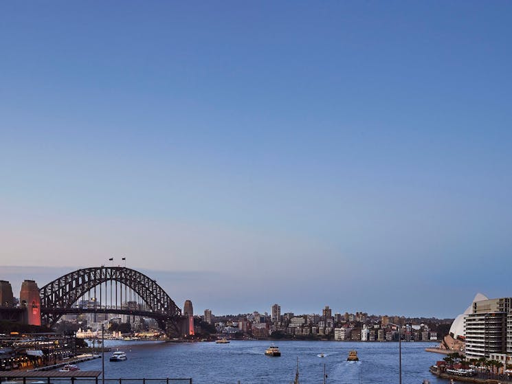 Capturing the essence of Sydney from the terrace