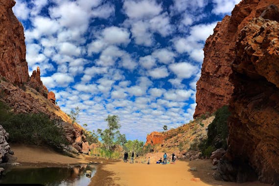 Red Centre - Uluru, Kata Tjuta, Kings Canyon and Larapinta - 6 Day - Group Guided