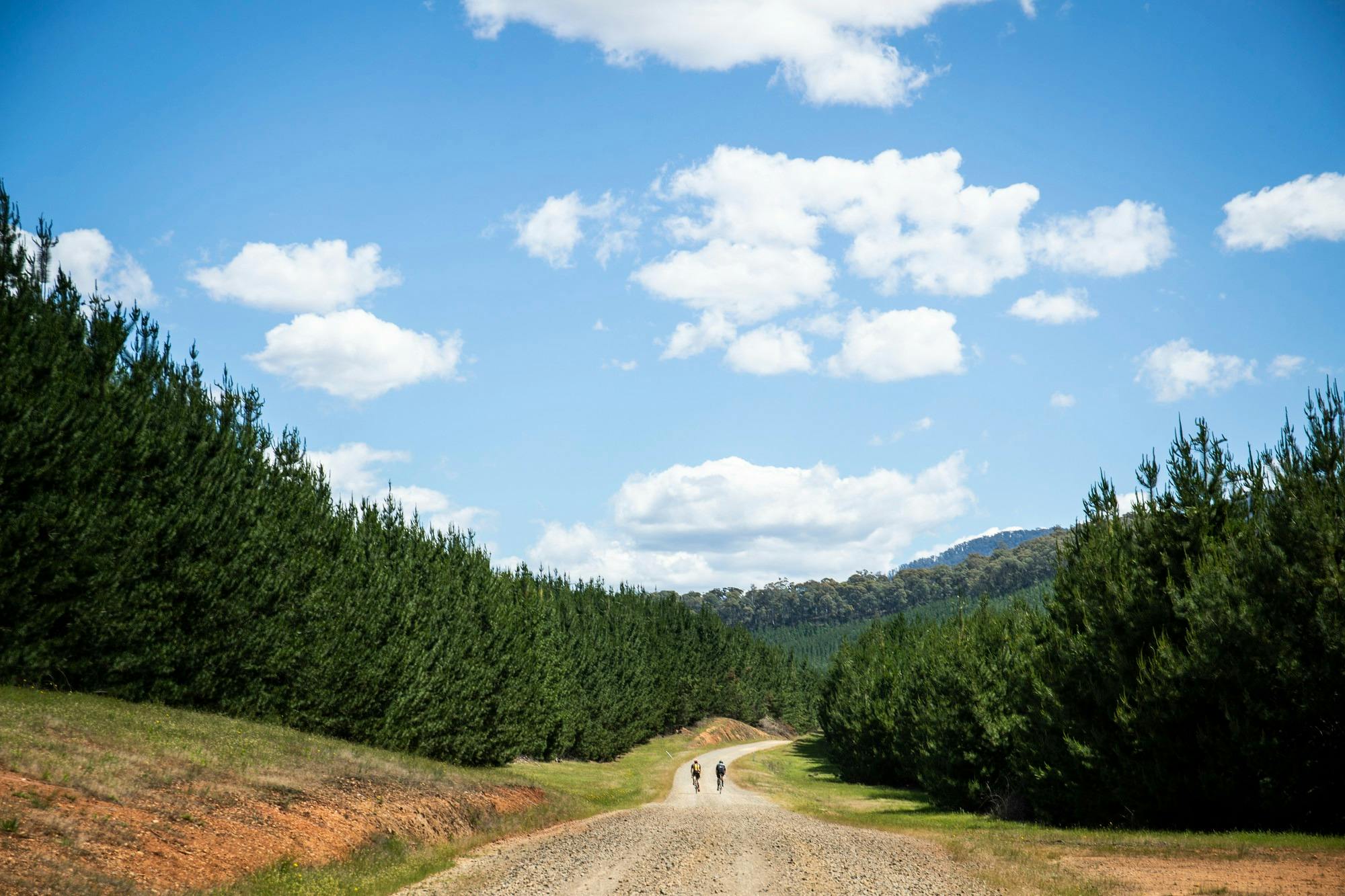 Gravel cycling, King Valley