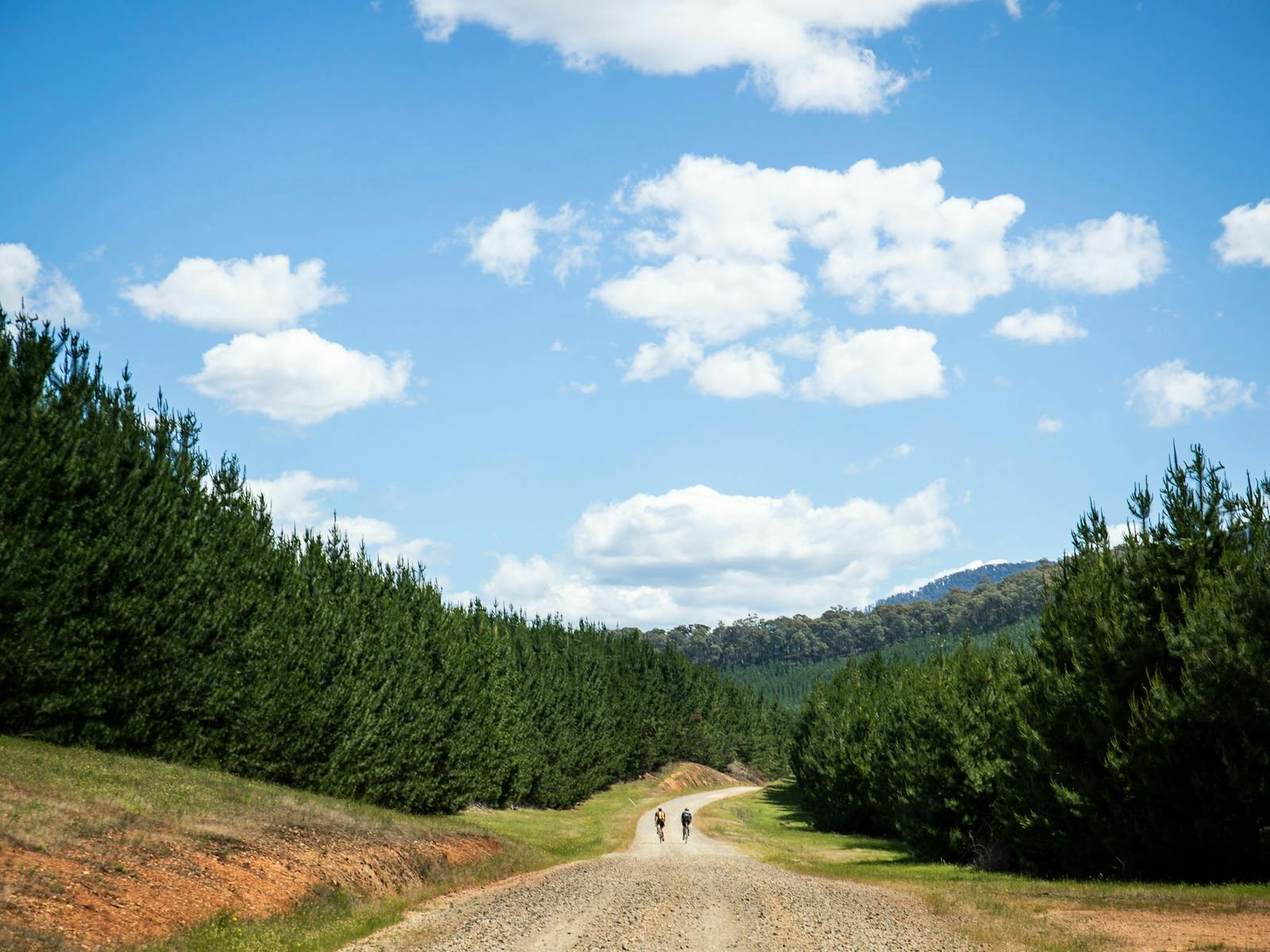 Gravel cycling, King Valley