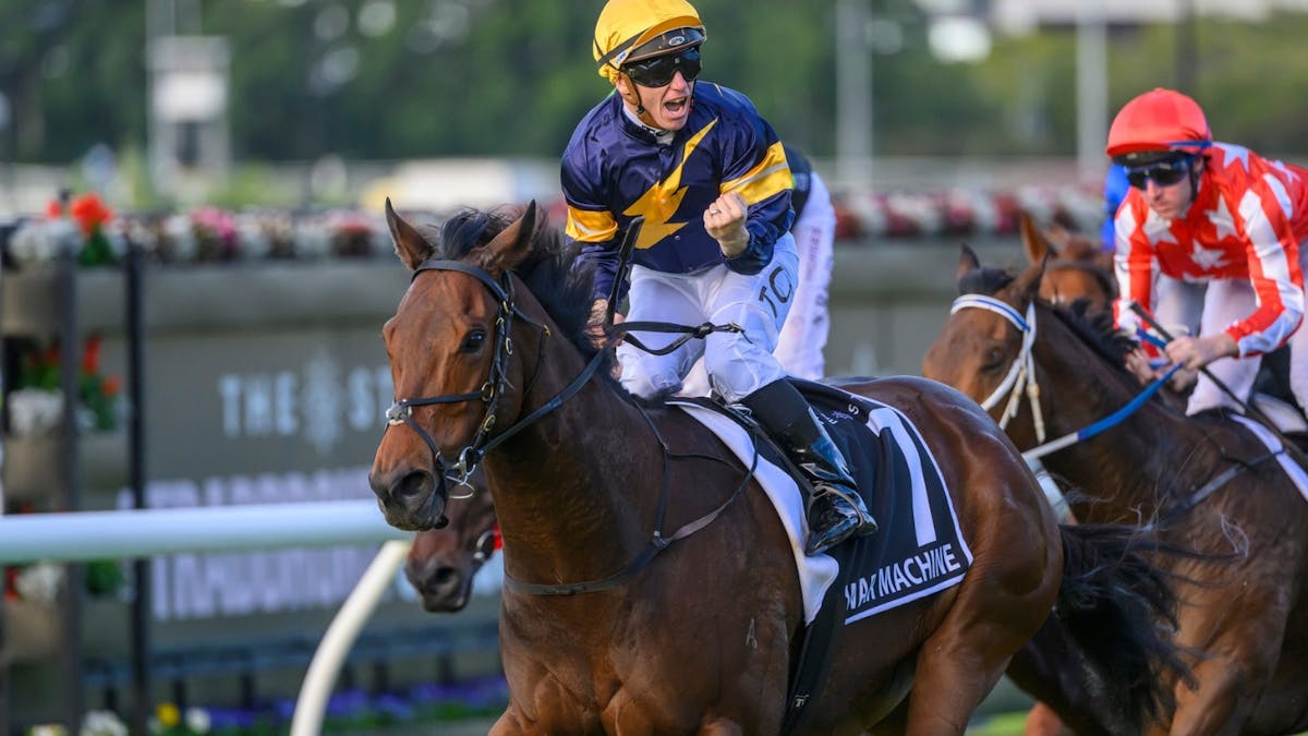 Ladbrokes Stradbroke Day