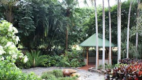 Townsville Palmetum