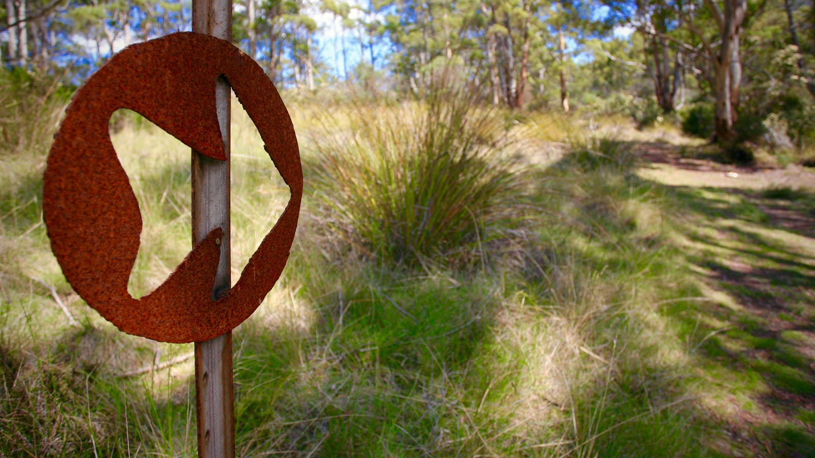 Arrow showing the trail at Art Farm Birchs Bay