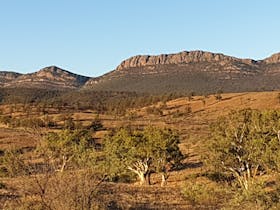 Wilpena from the Western side
