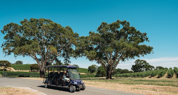 EcoVine Explorer - vineyard e-cart tours