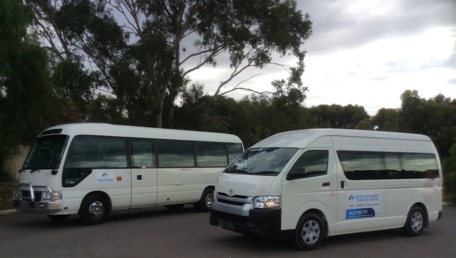 Tour and Charter Services