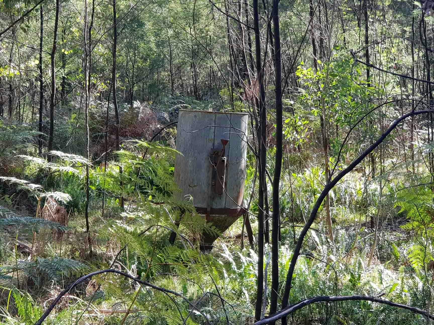 An old rusting tank nestled amongst bush growth illuminated by filtered sunlight, Newnes