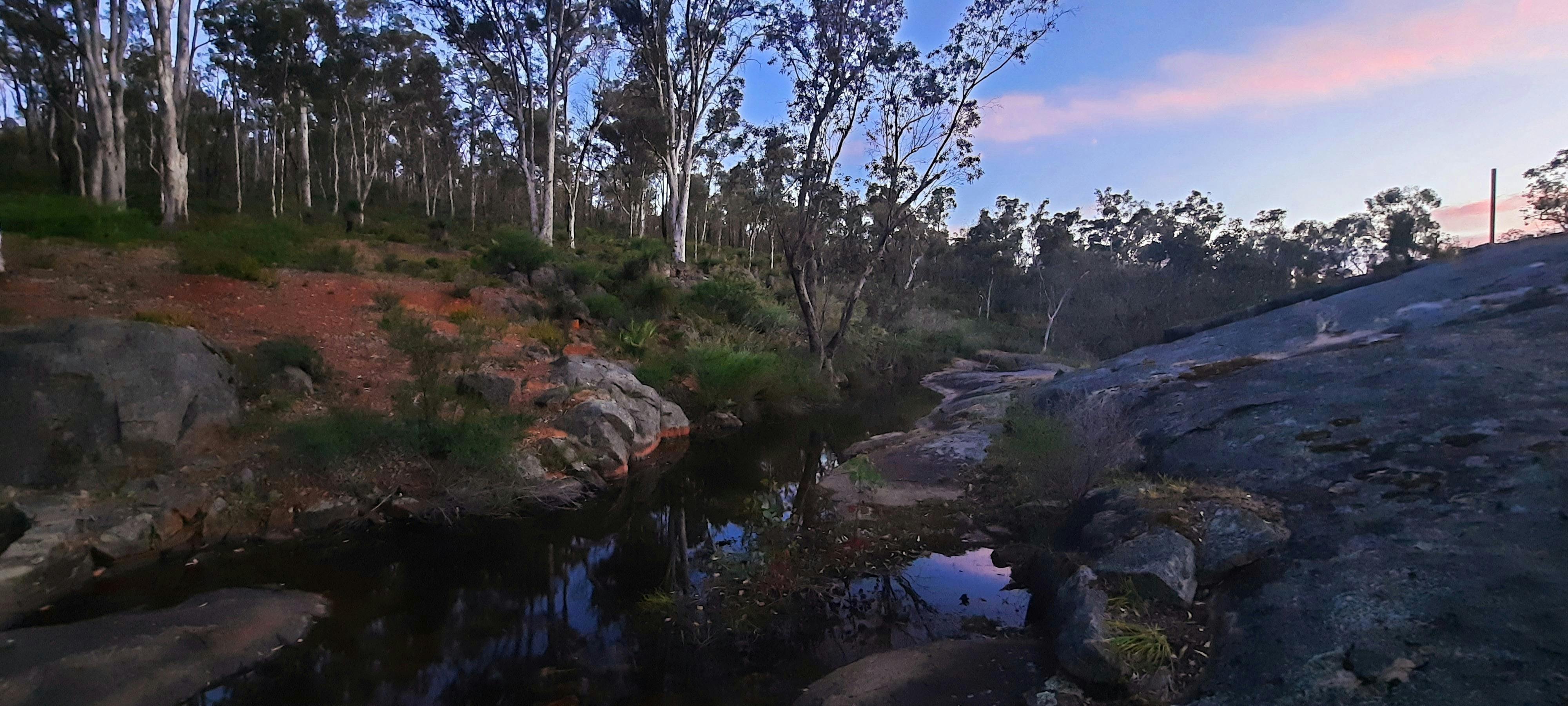 Darling Range Twilight Wander