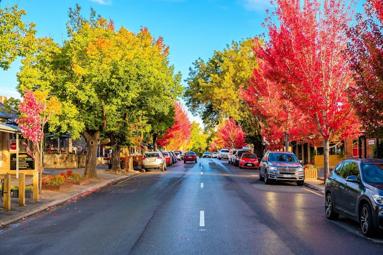 Hahndorf - Hahndorf, | South Australia