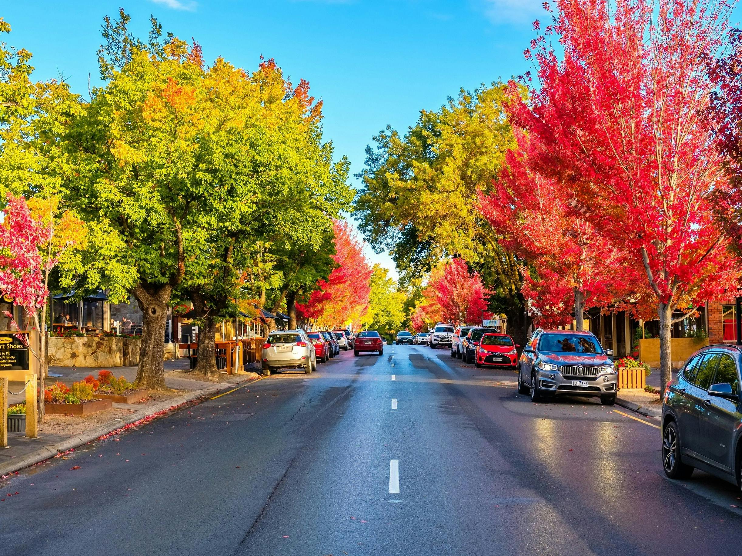 Adelaide Hills