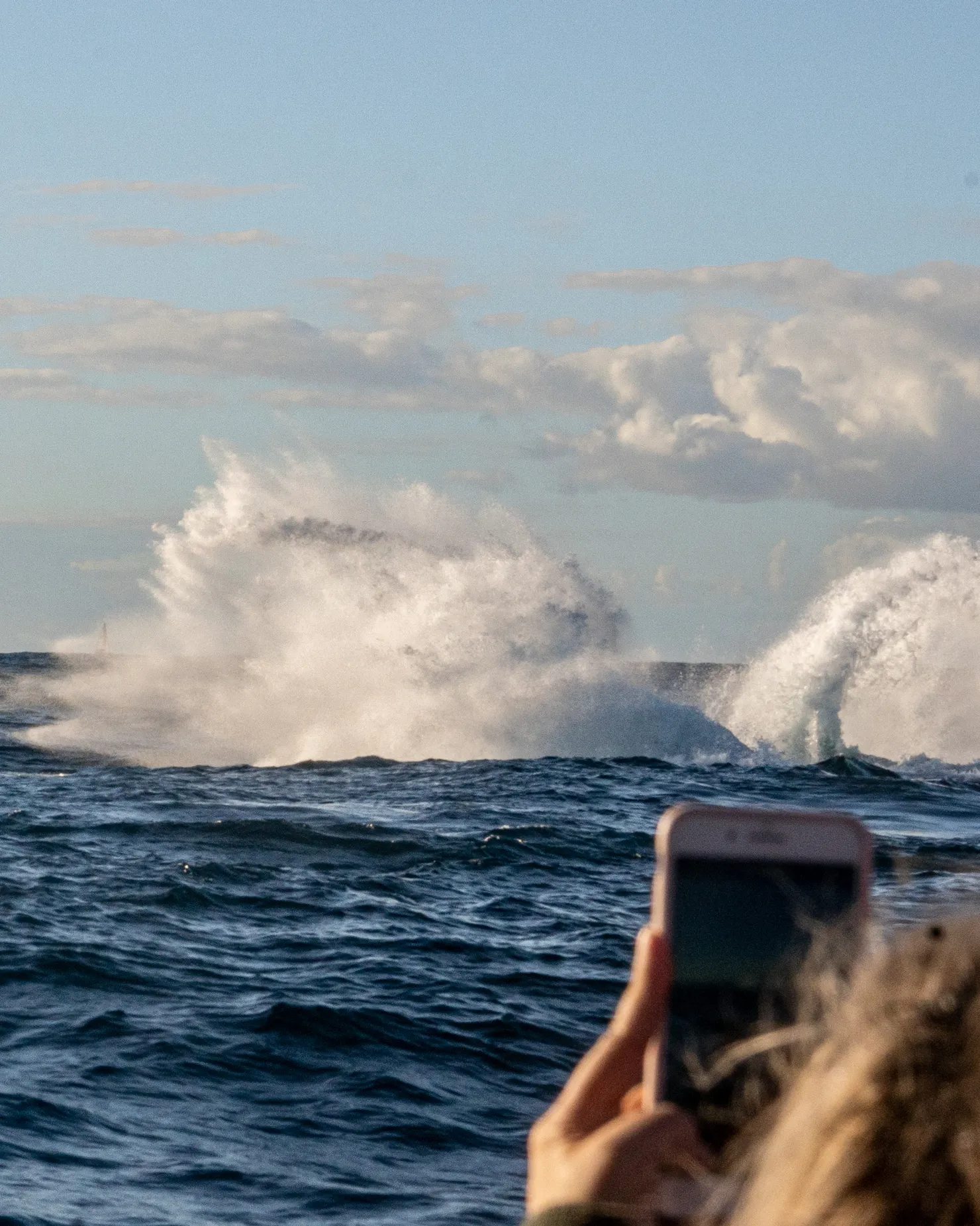 Whale Watching Sunshine Coast, out of Mooloolaba in search of Humpback Whales