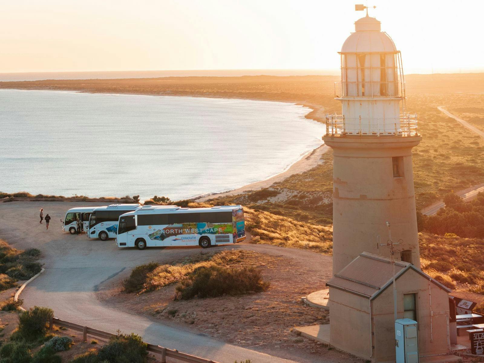 EBC buses lined up at Vlamingh Head Lighthouse at sunrise, Exmouth, Western Australia.