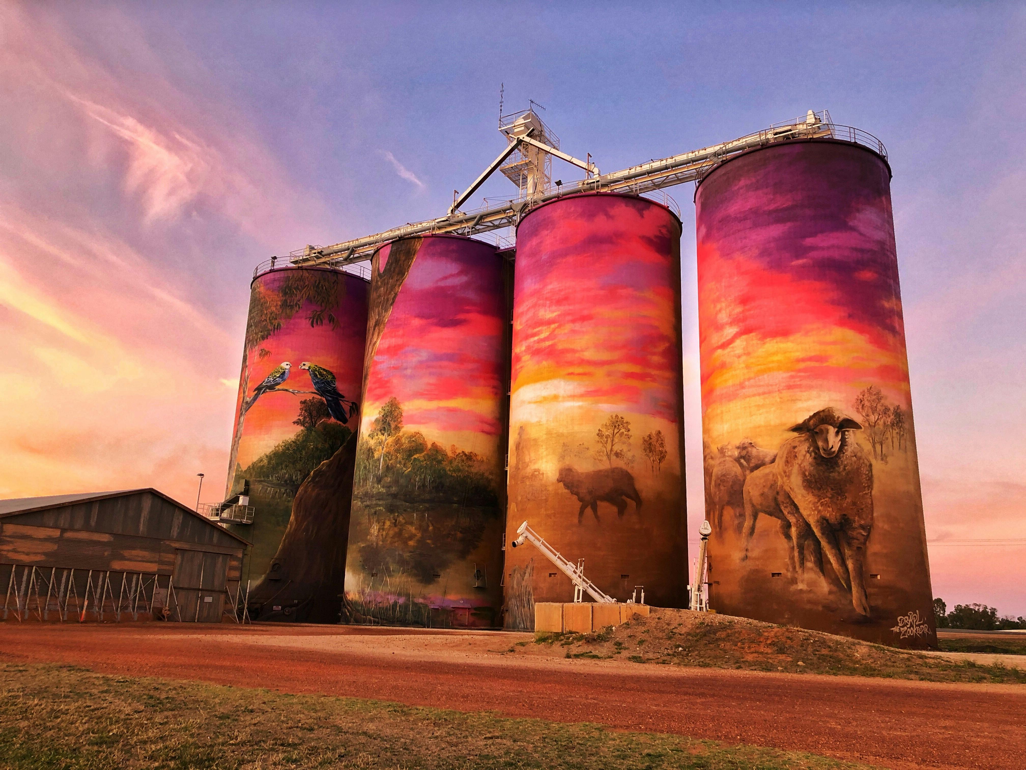 GrainCorp Thallon Silo Art - The Watering Hole