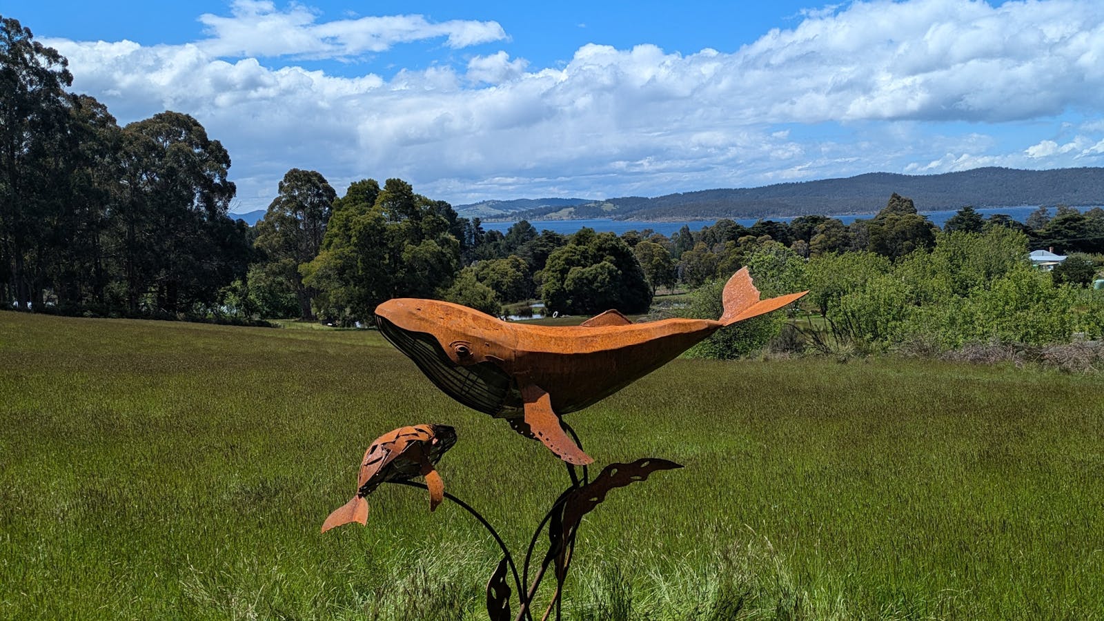 Safe Harbour by Evie Silver