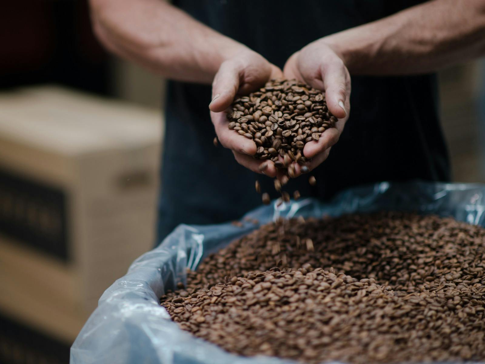 Food Secrets + EWAT Bus Tour