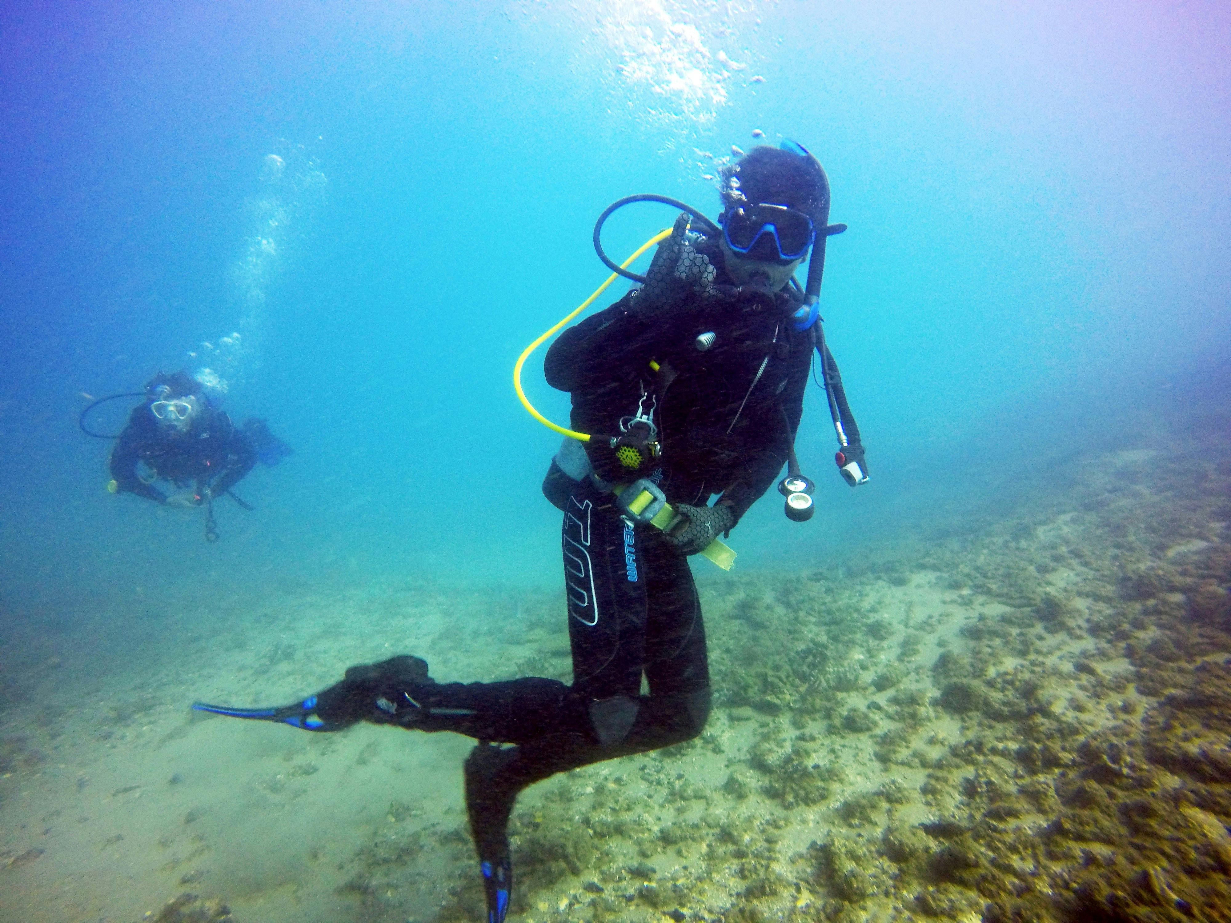 Introductory Scuba Dive