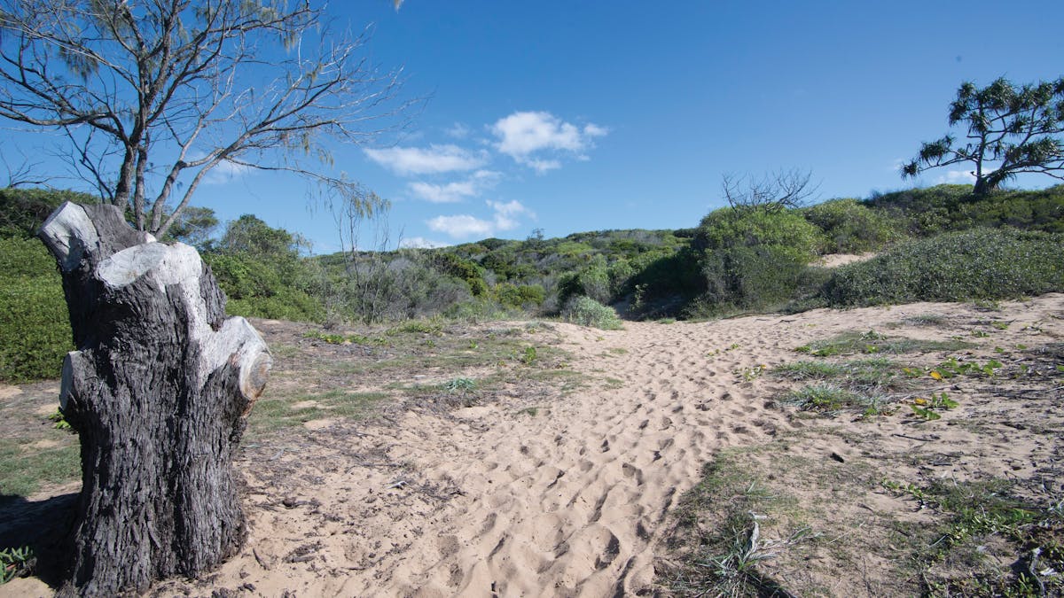 Sandy path and coastal vegetation, Middle Rock Camping Area