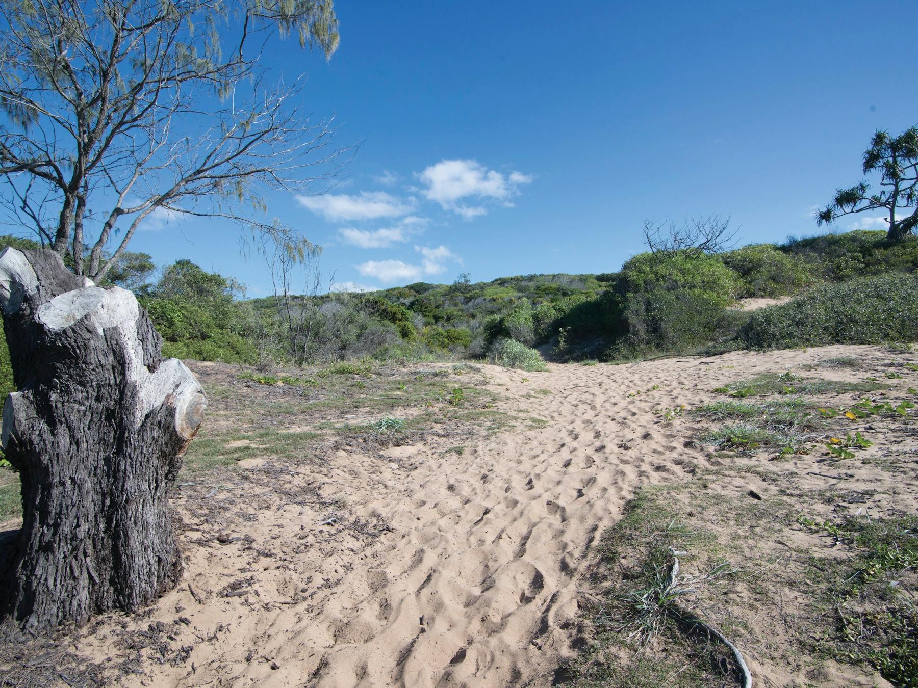 Sandy path and coastal vegetation, Middle Rock Camping Area