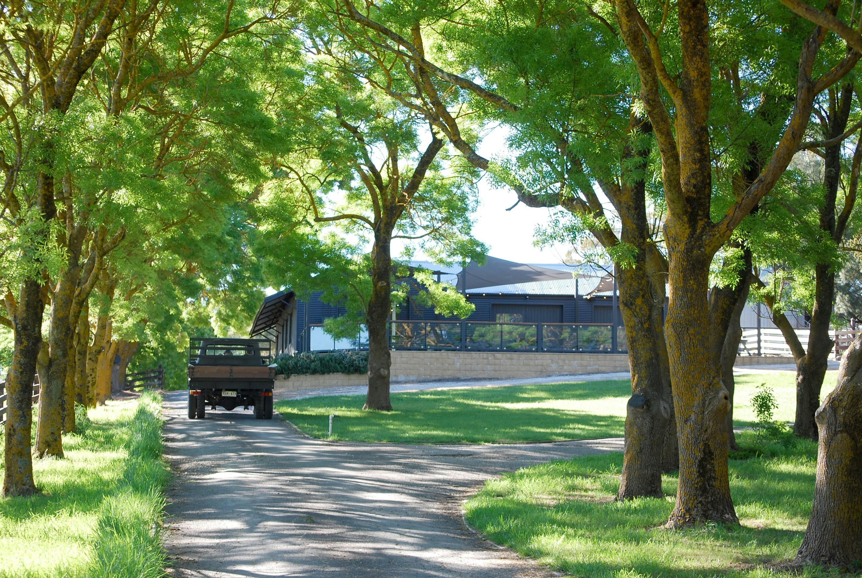 Vineyard and Cellar Door entry