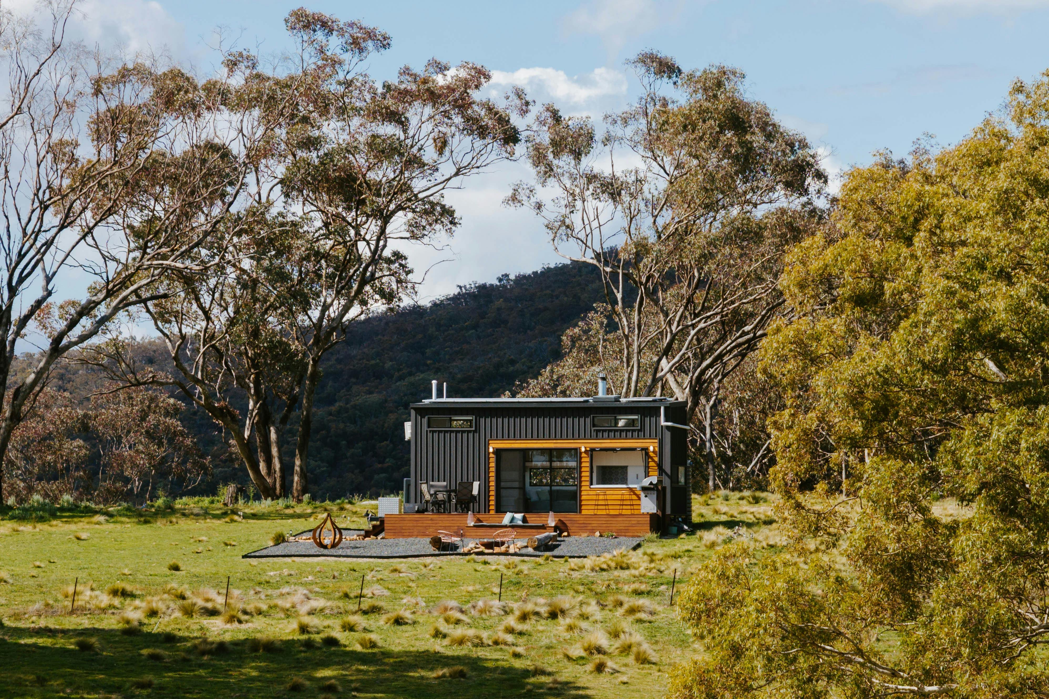 ワイルドネスト・ウィルダネス