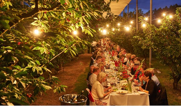 Manjimup Cherry Harmony Festival