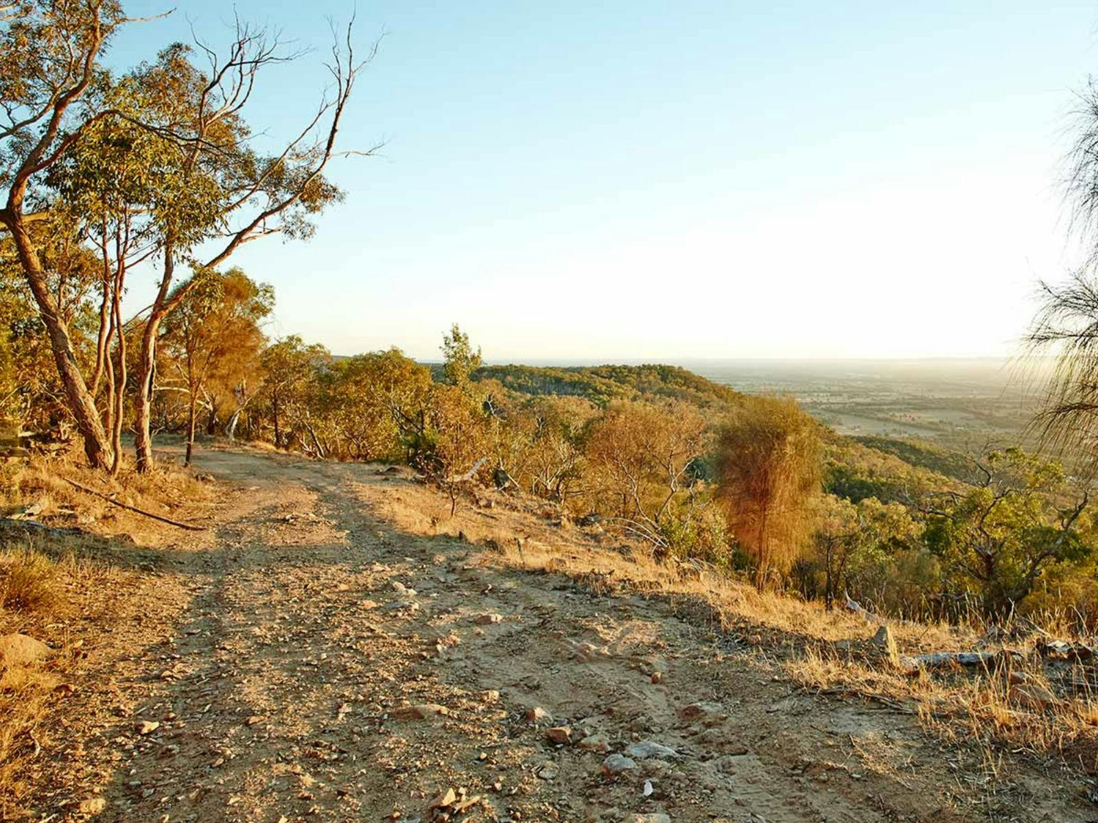Rocky driving track, view of valley, sunset, trees, blue sky.