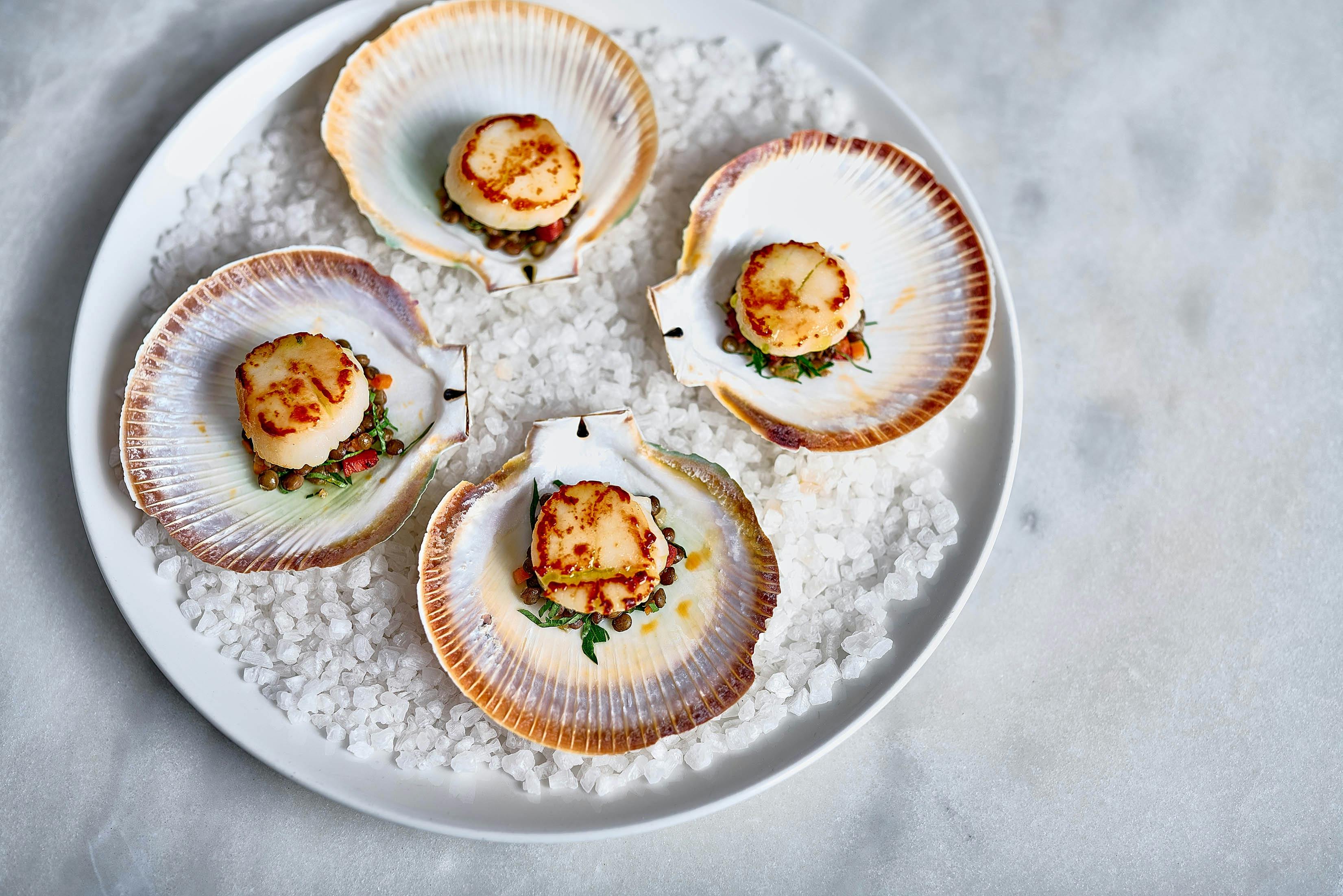 Seared Scallops in the Shell