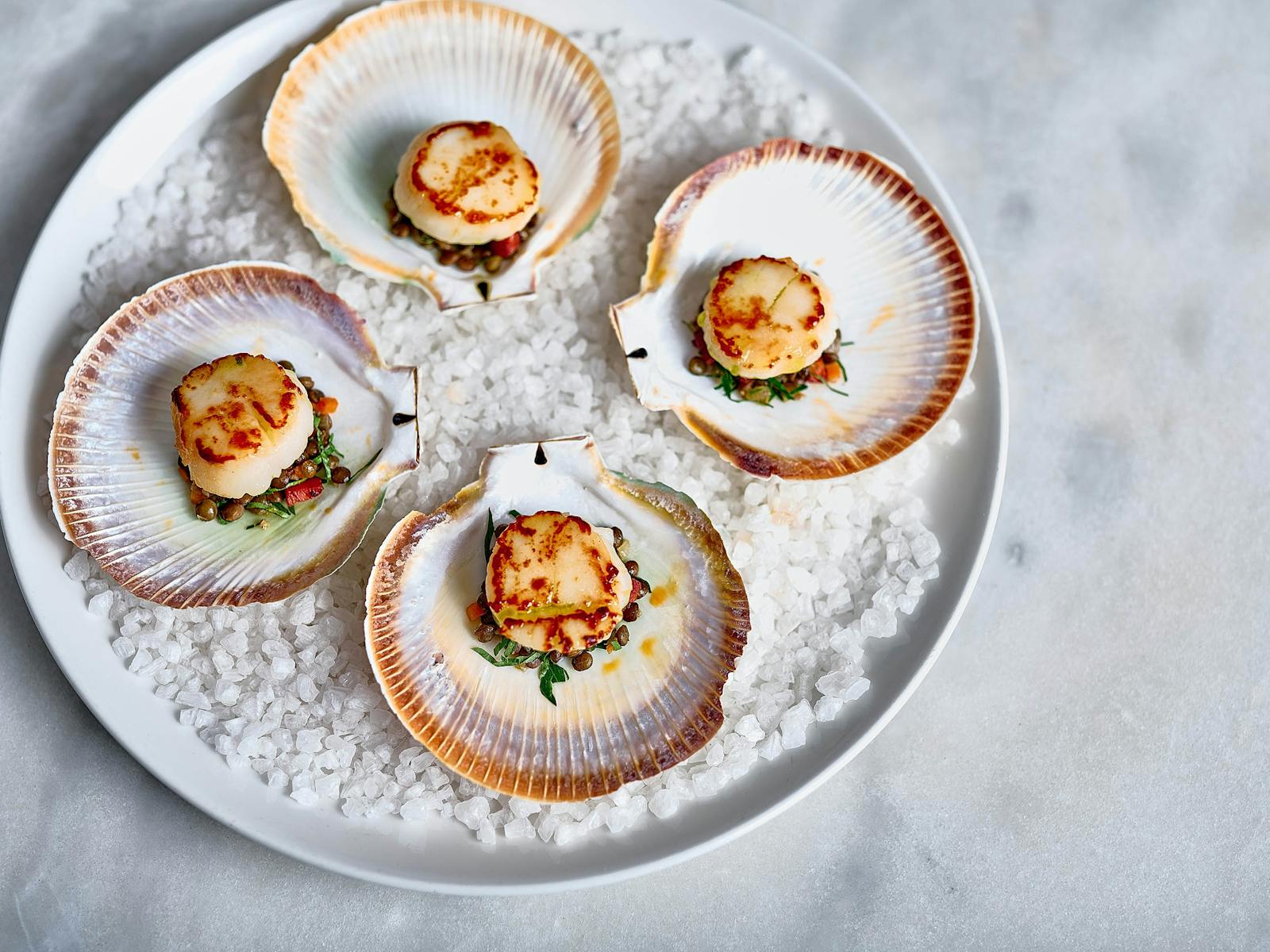 Seared Scallops in the Shell