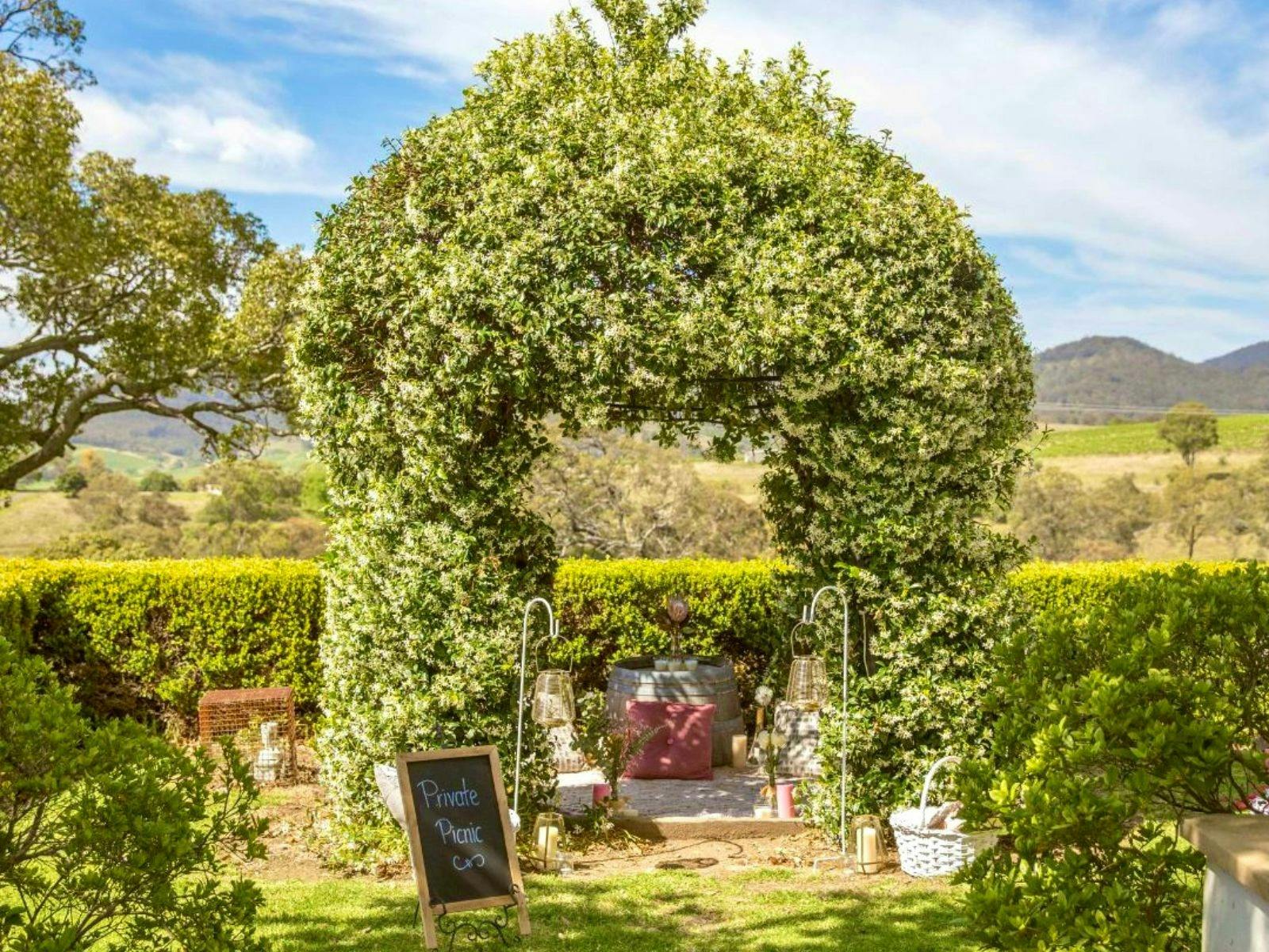 ローターワンでサプライズピクニックの提案