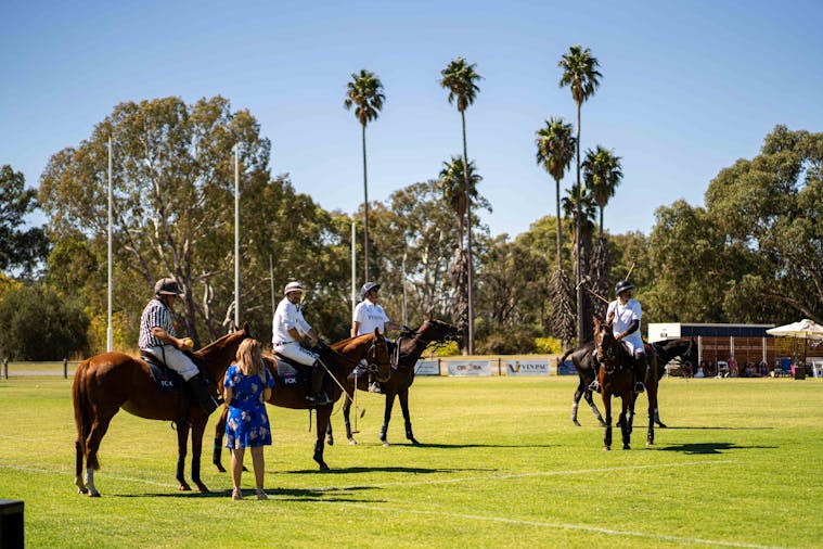 Vale Polo Classic