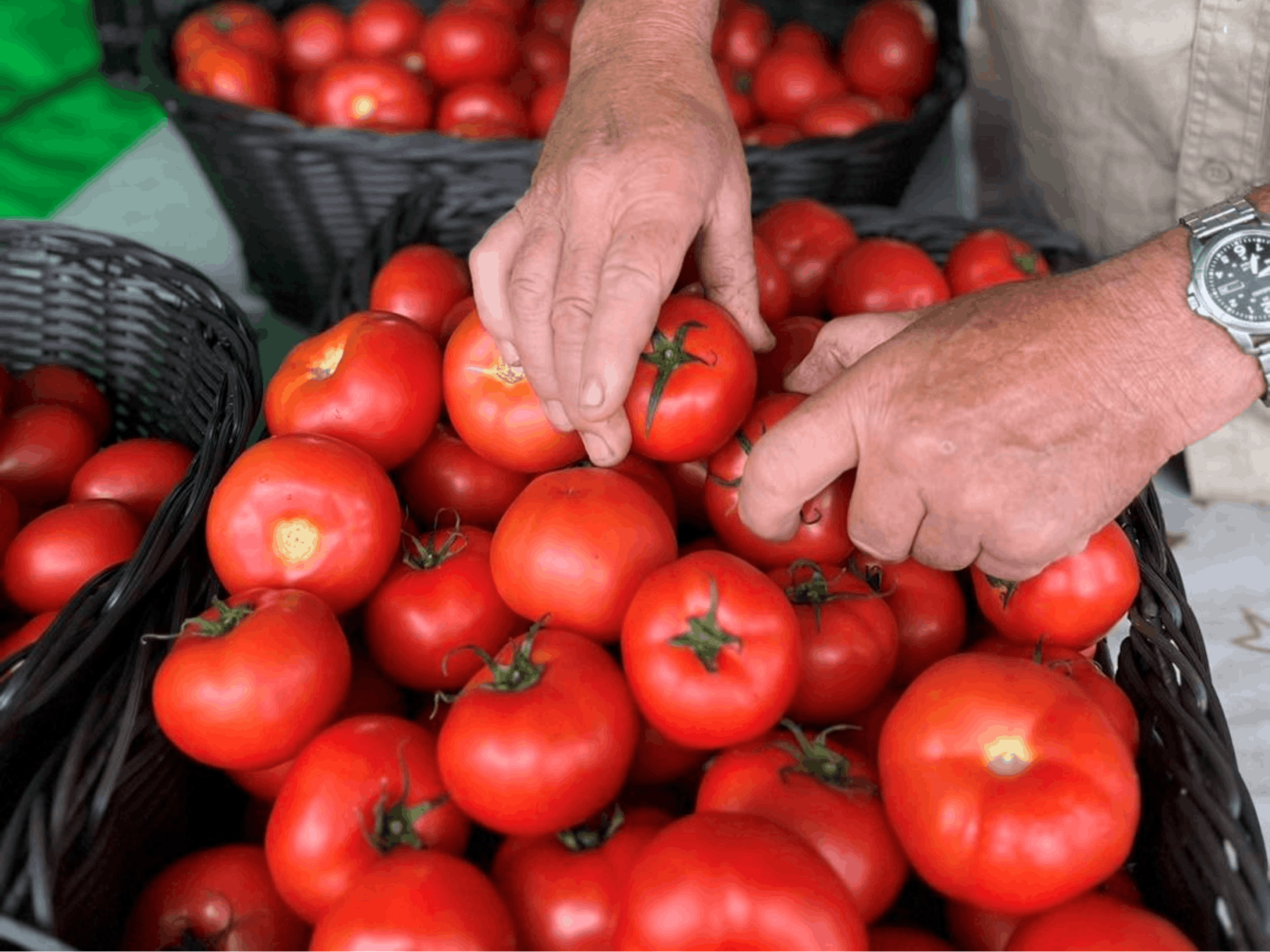 Image of a stall operator selling baskets of tomatoes