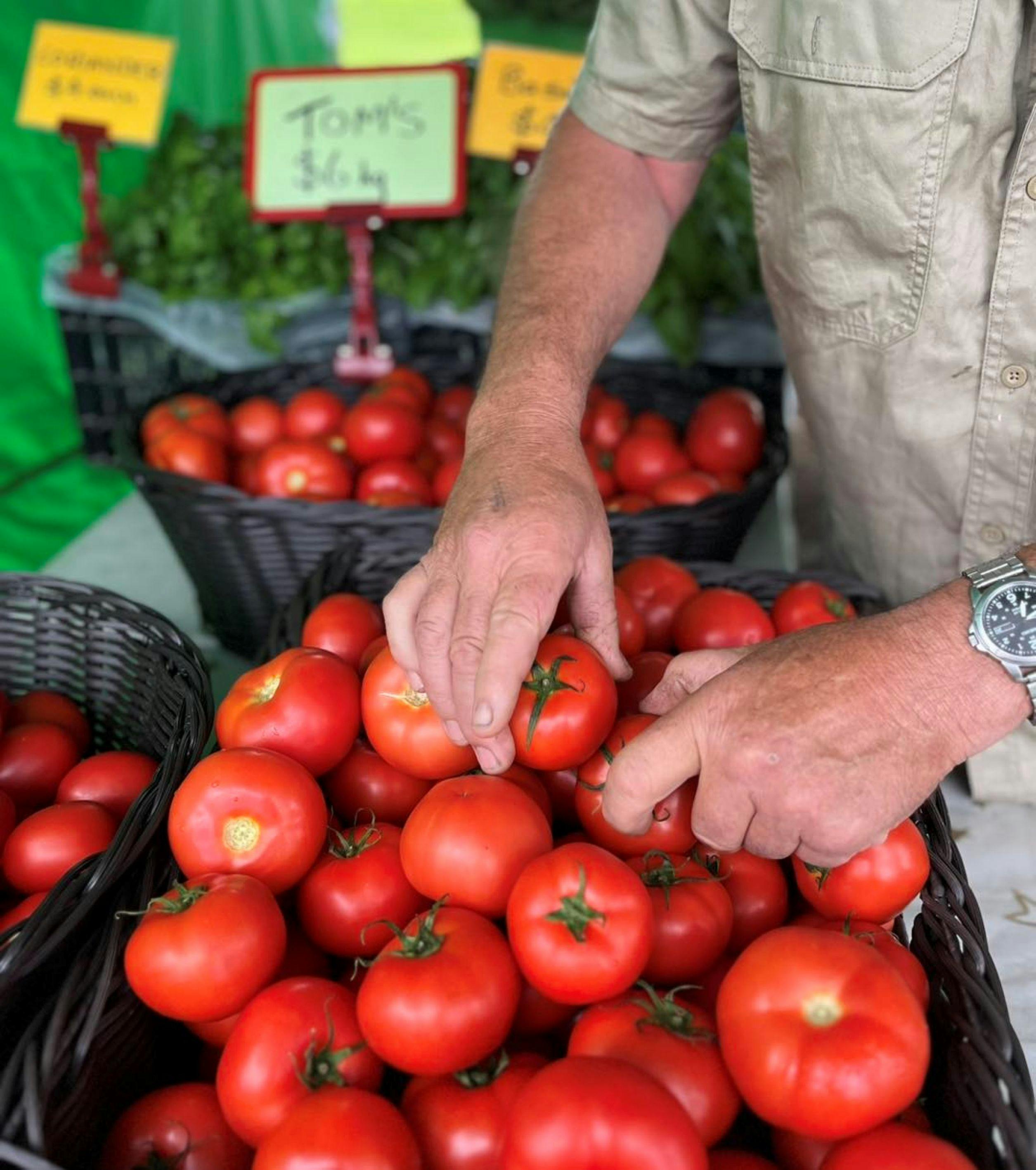 Image of a stall operator selling baskets of tomatoes