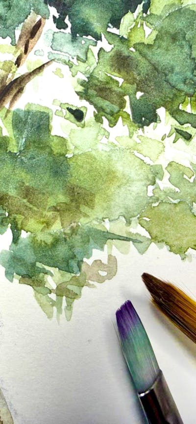 A watercolour painting of a eucalupt tree, next to brushes and a colour wheel