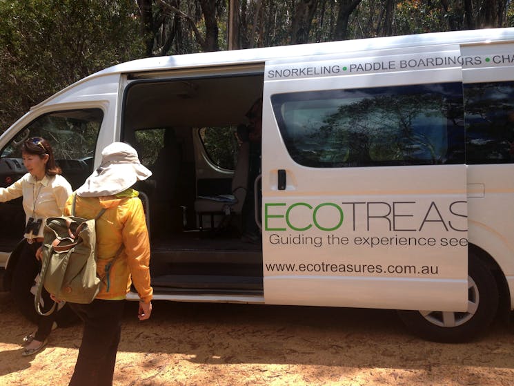 Blue Mountains Eco Tour