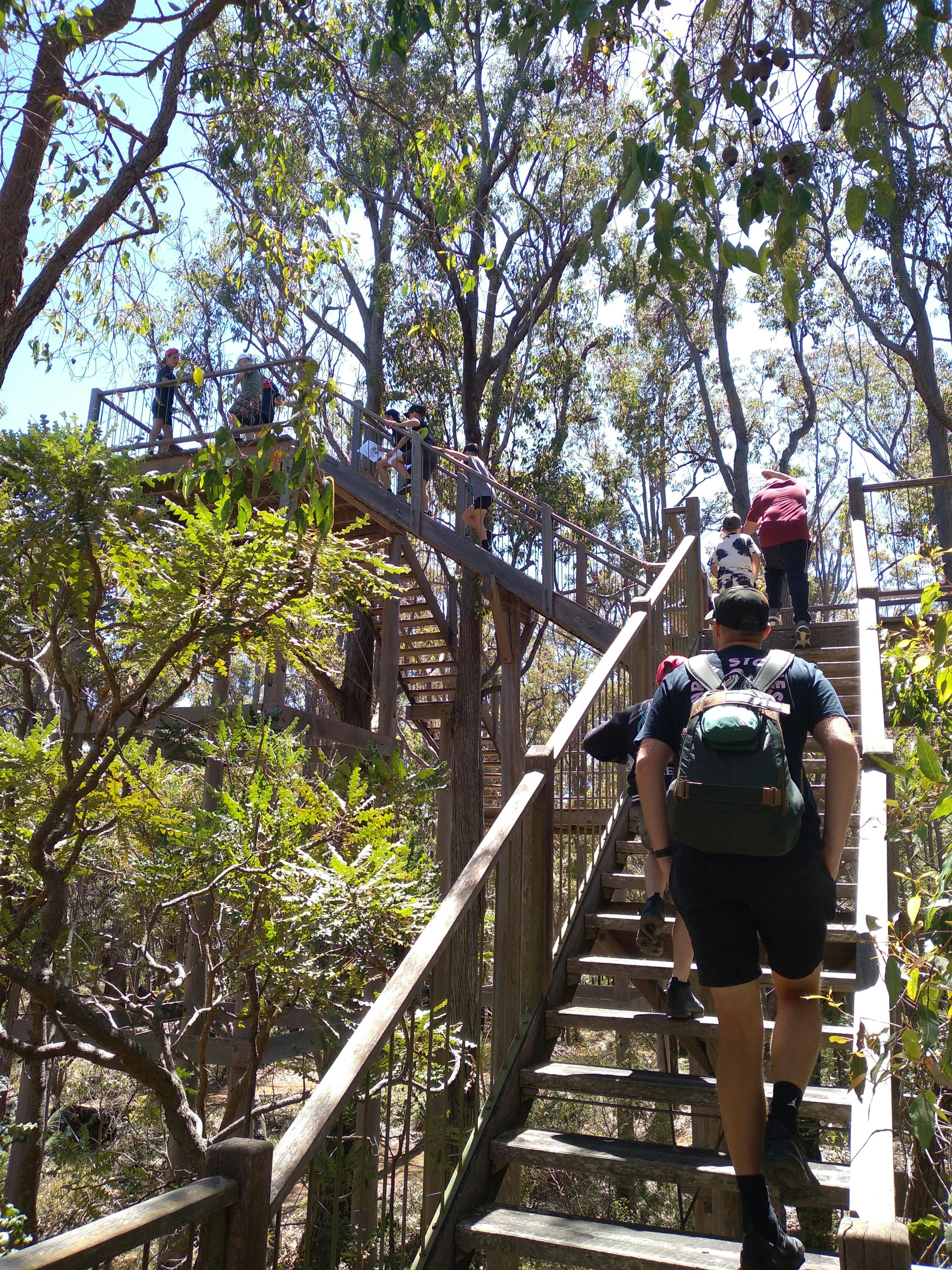 Forest Discovery Centre