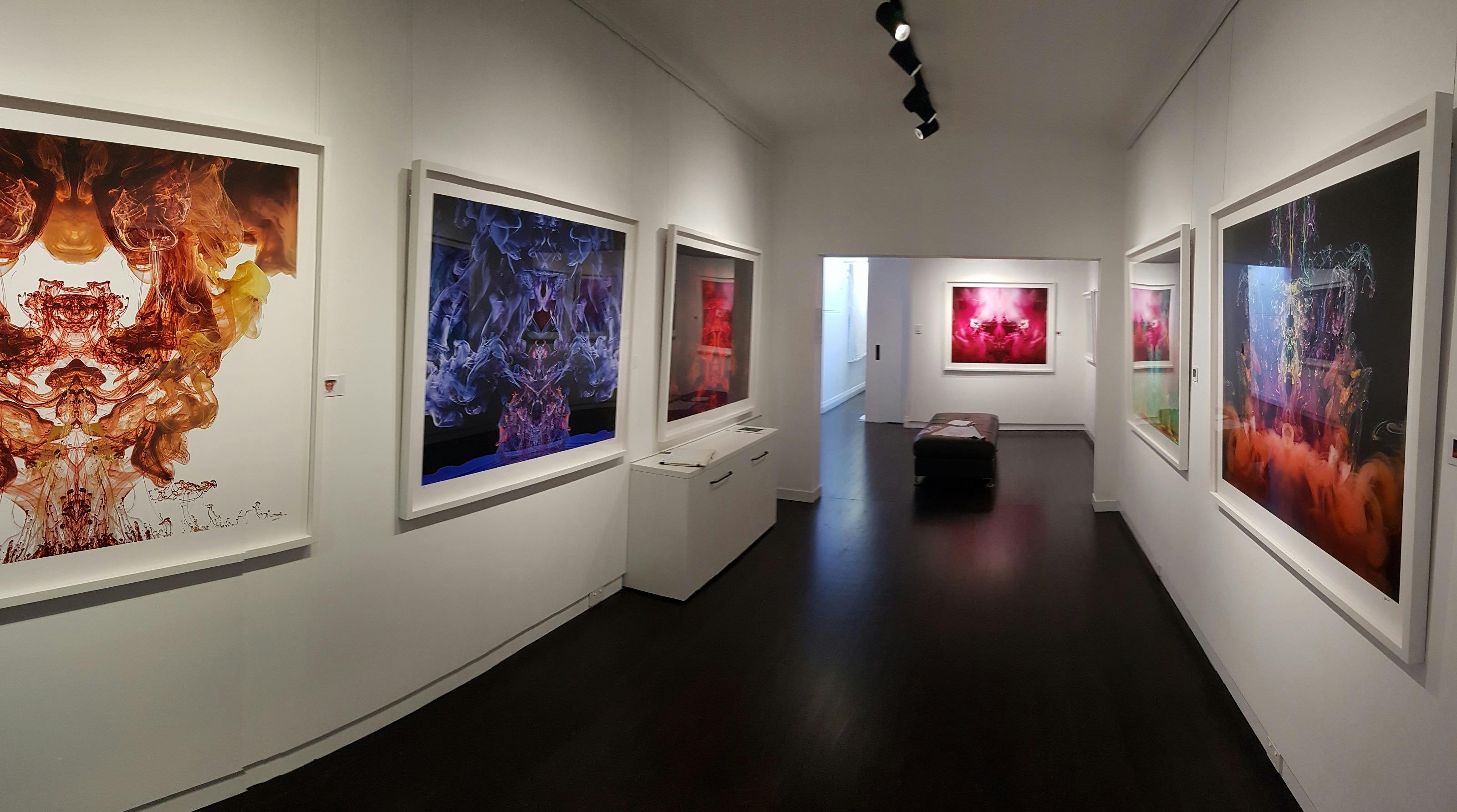 gallery view. contemporary art