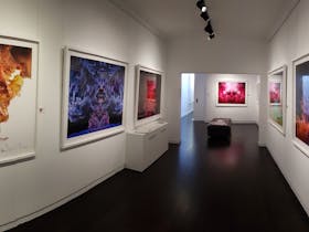 gallery view. contemporary art