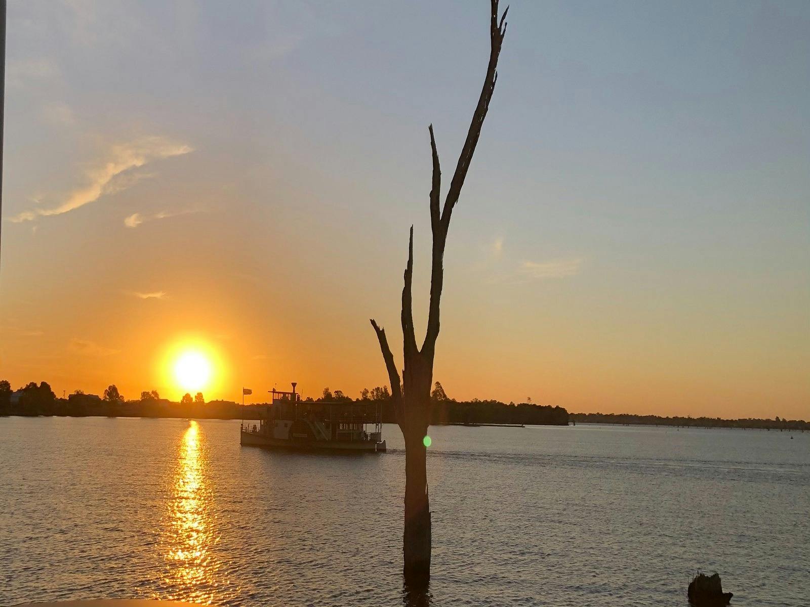 Sunset Dinner