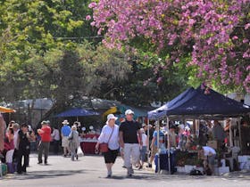 Sunshine Coast Arts and Crafts Drive