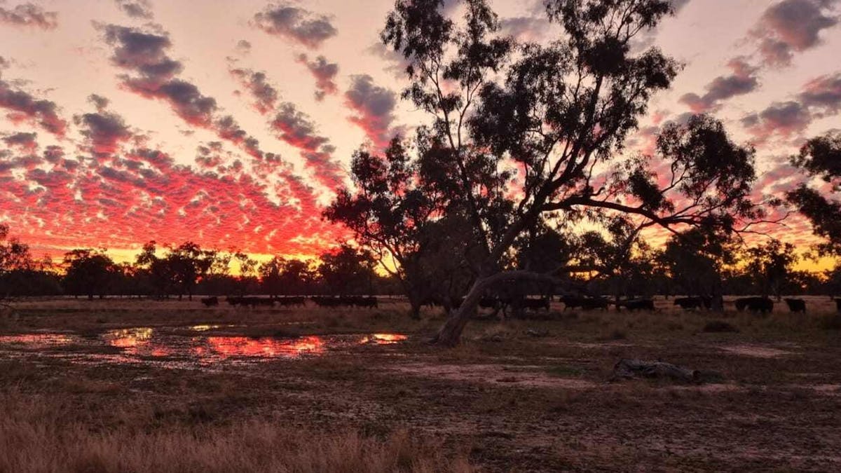 Glorious sunset at Francvillers