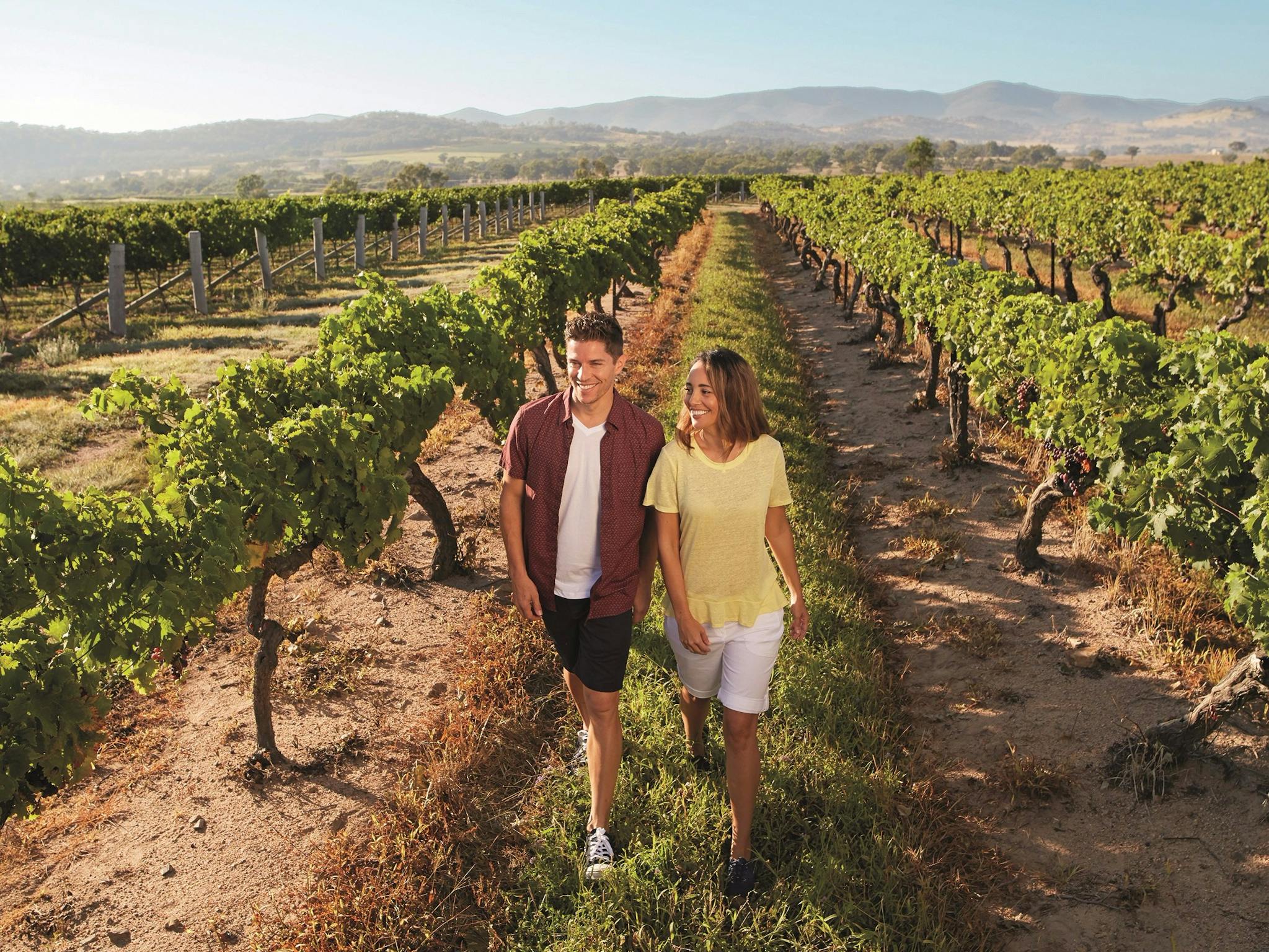 Winery, Granite Belt Winery, Granite Belt