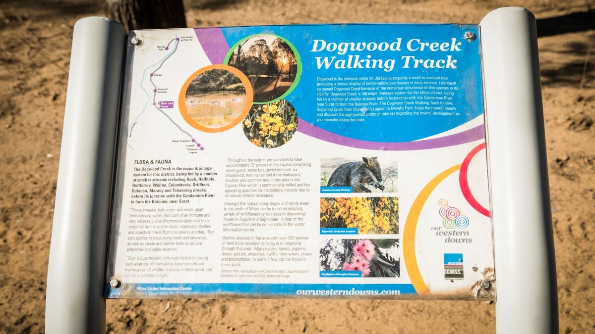 Dogwood Creek Walking Track Miles