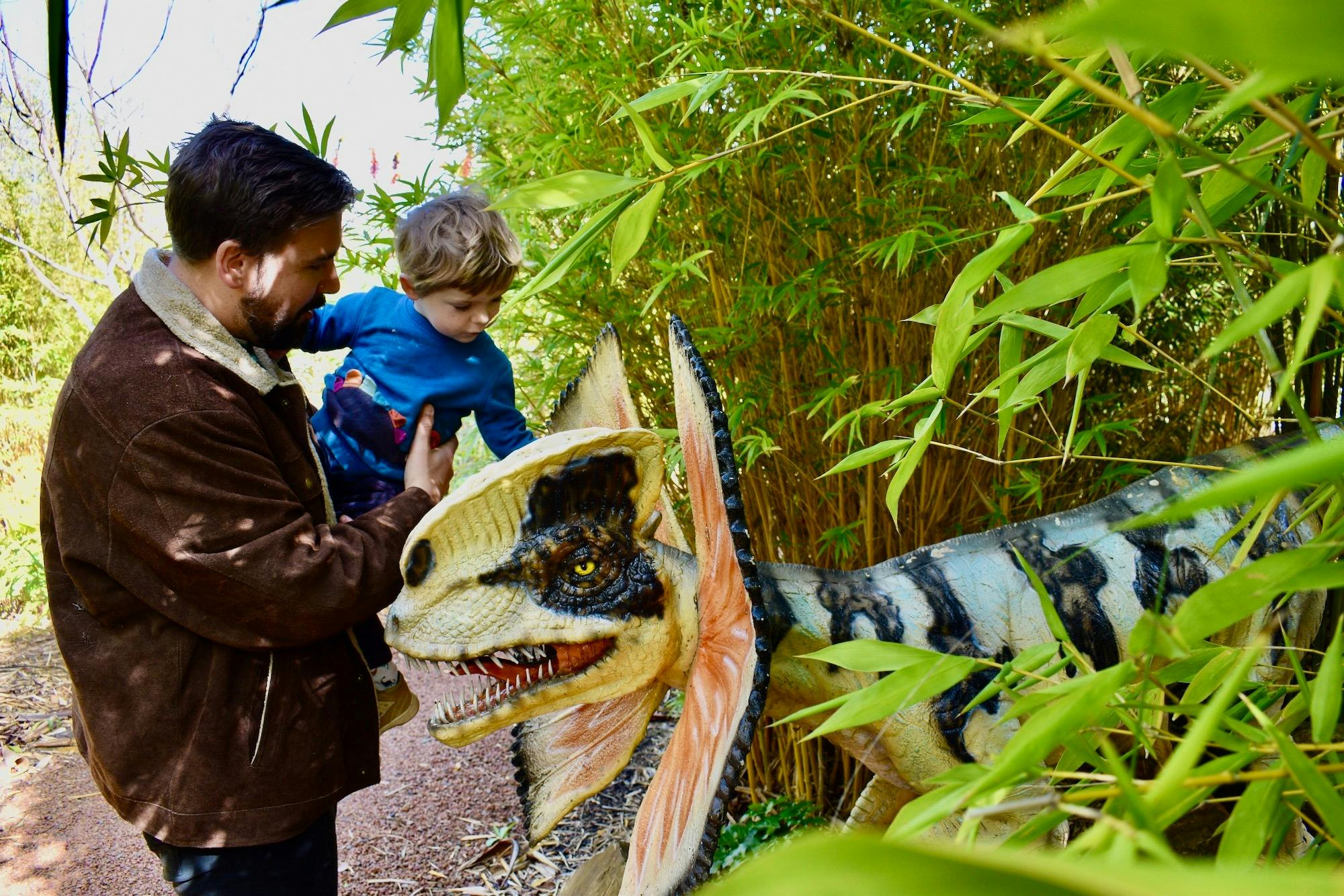 Checking out the dinosaurs