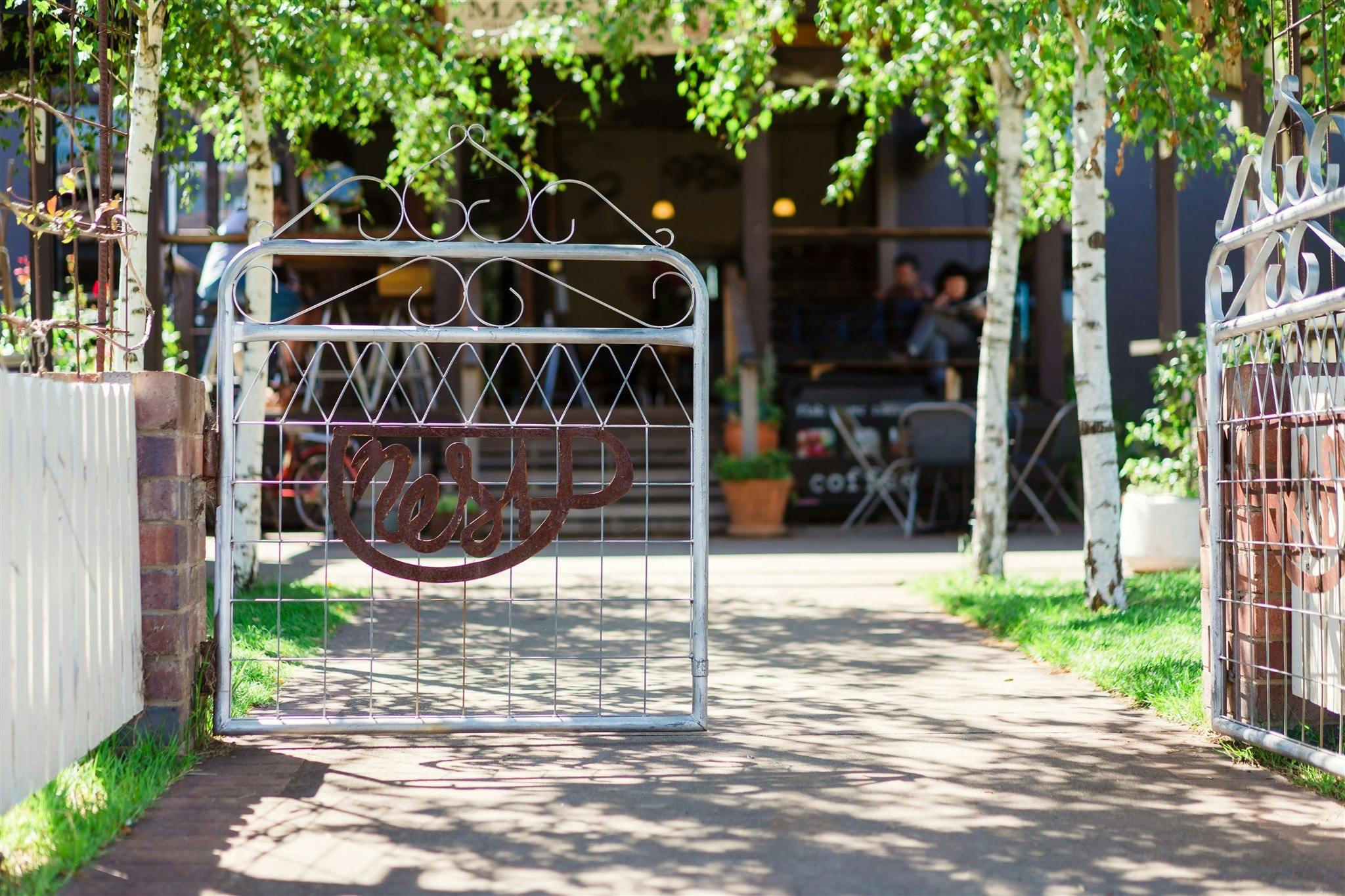 Nest Cinema Cafe Books