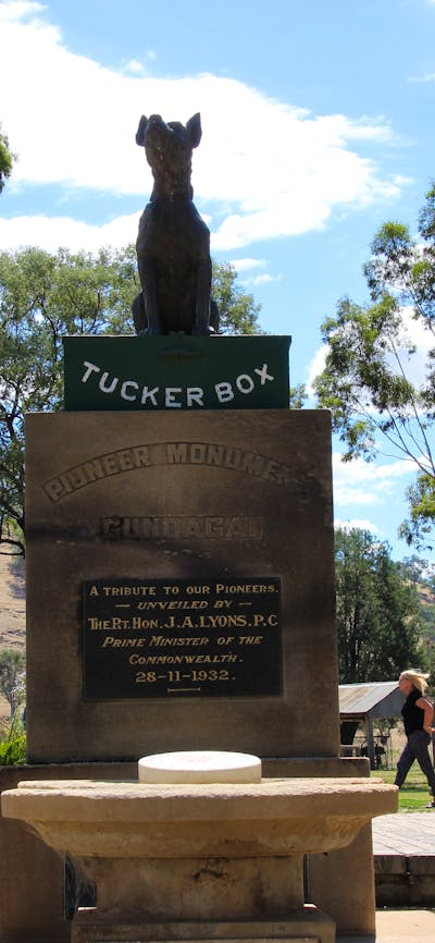 Dog on the Tucker Box