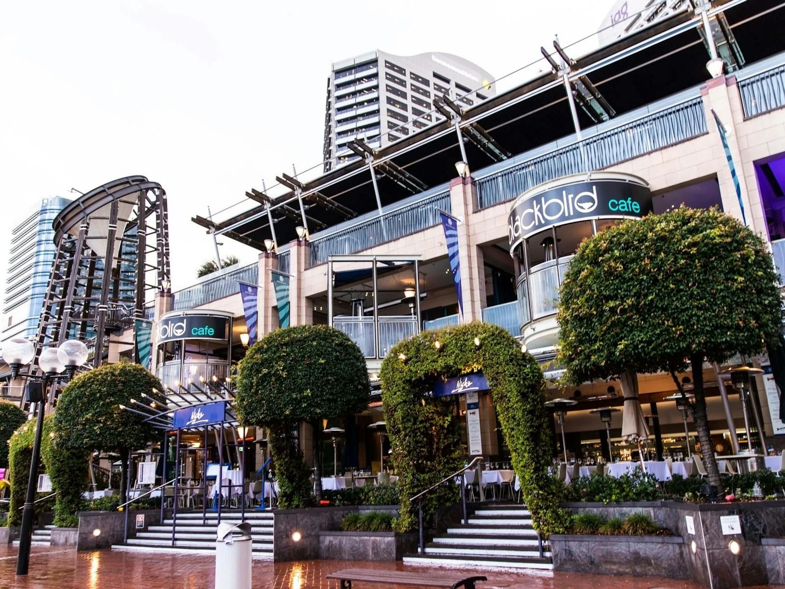 コックル ベイのブラックバード カフェ