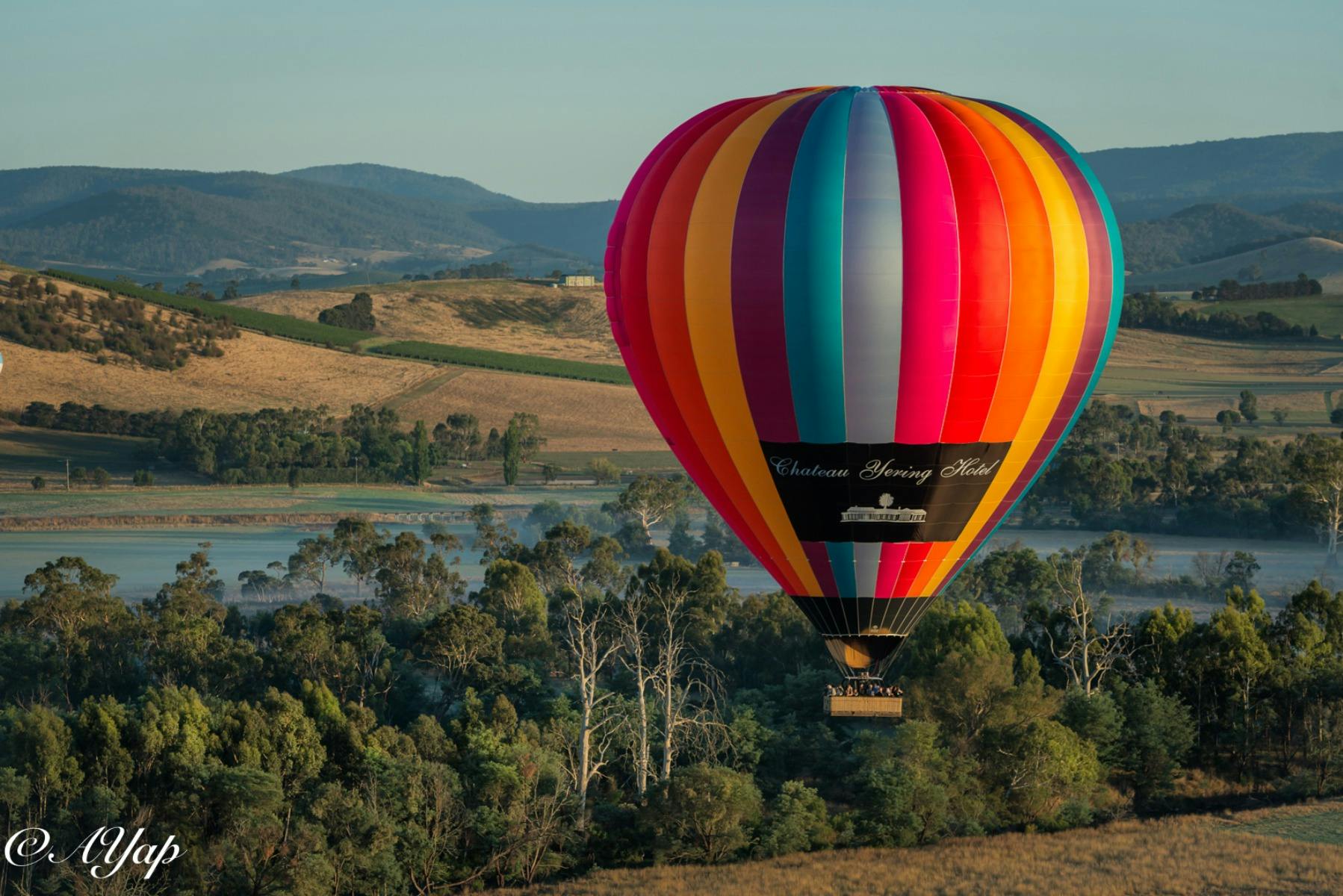 Geelong Ballooning