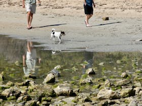 Nature walks, tranquility,