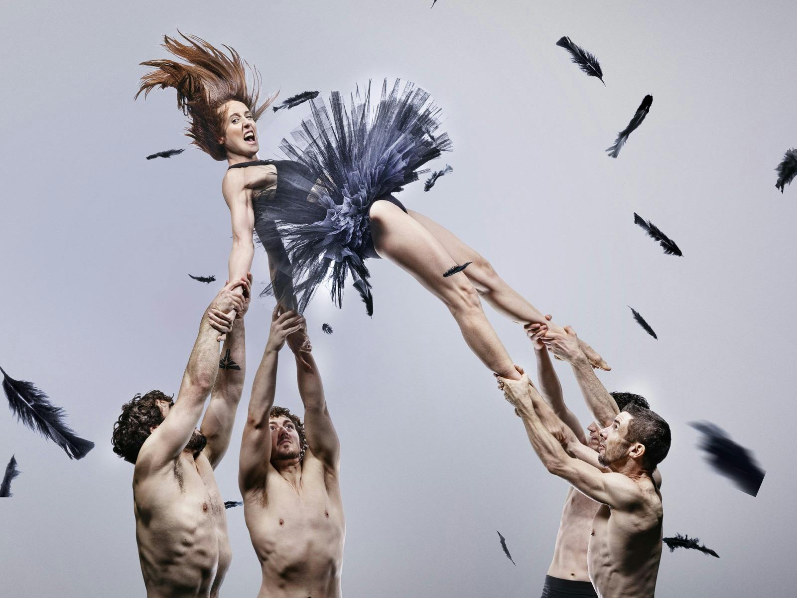 Image for Duck Pond by Circa